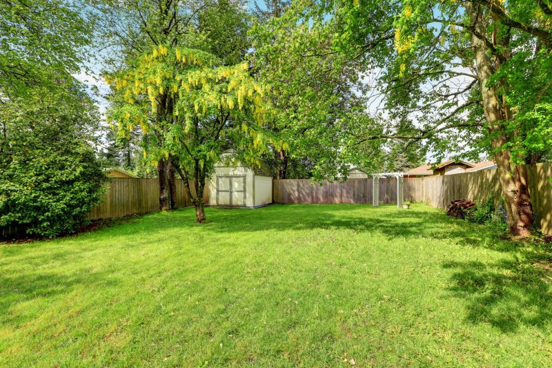 Backyard Flattening