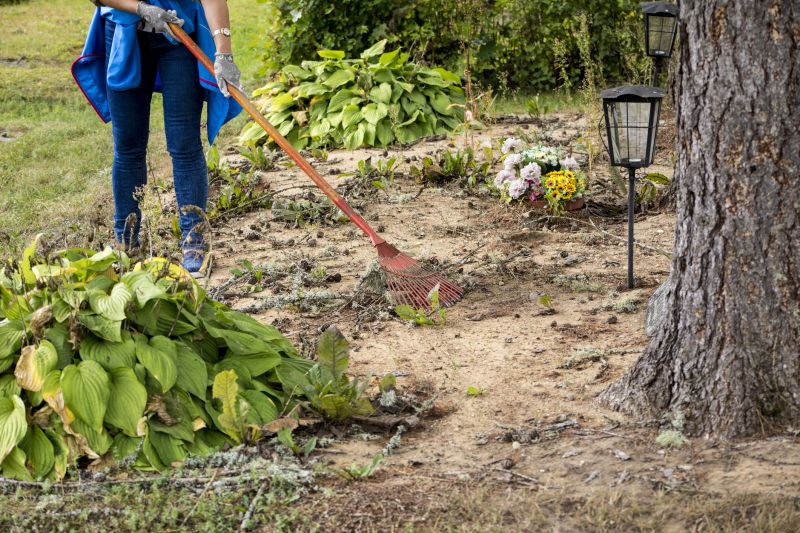 Acreage Clearing in Salt Lake City, UT